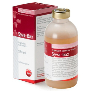 <p>SYVA BAX 250ml</p>