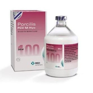 PORCILIS PCV M HYO 100ds iny