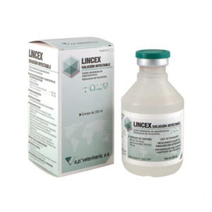 <p>LINCEX INYECTABLE 250mL</p>
