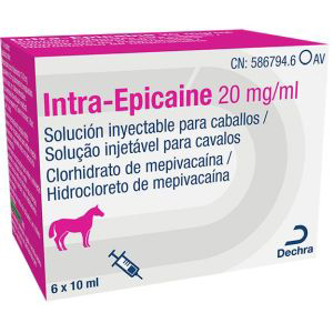 INTRA-EPICAINE 20mg.ml 6x10ml iny